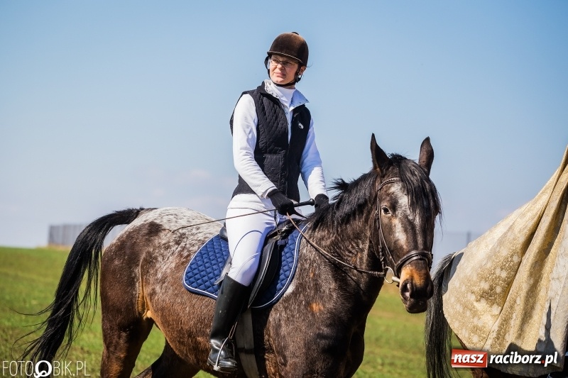 Zdjęcie w galerii na portalu naszraciborz.pl: Wyścigi konne na finał procesji w Sudole wiadomości z regionu