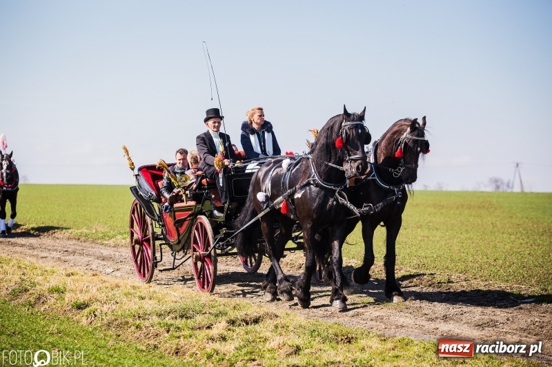 Zdjęcie w galerii na portalu naszraciborz.pl: Wyścigi konne na finał procesji w Sudole wiadomości z regionu