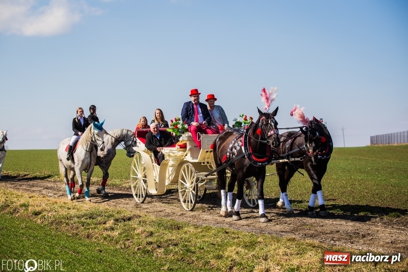 Zdjęcie w galerii na portalu naszraciborz.pl: Wyścigi konne na finał procesji w Sudole wiadomości z regionu