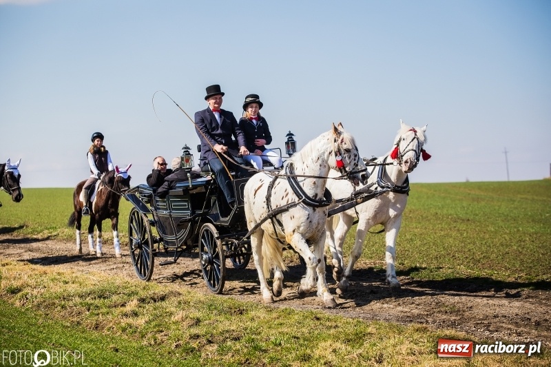 Zdjęcie w galerii na portalu naszraciborz.pl: Wyścigi konne na finał procesji w Sudole wiadomości z regionu