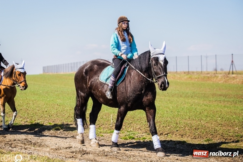 Zdjęcie w galerii na portalu naszraciborz.pl: Wyścigi konne na finał procesji w Sudole wiadomości z regionu