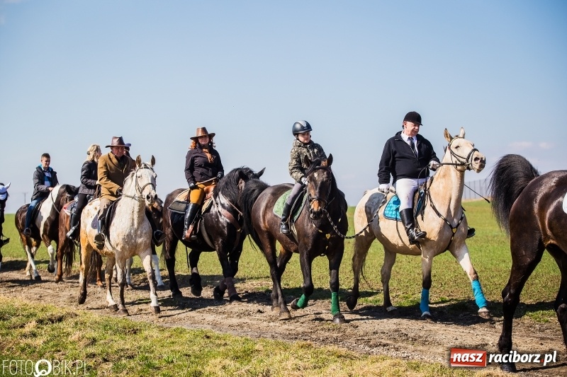 Zdjęcie w galerii na portalu naszraciborz.pl: Wyścigi konne na finał procesji w Sudole wiadomości z regionu