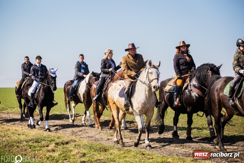 Zdjęcie w galerii na portalu naszraciborz.pl: Wyścigi konne na finał procesji w Sudole wiadomości z regionu