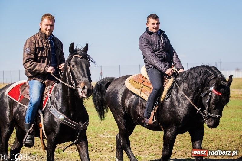 Zdjęcie w galerii na portalu naszraciborz.pl: Wyścigi konne na finał procesji w Sudole wiadomości z regionu