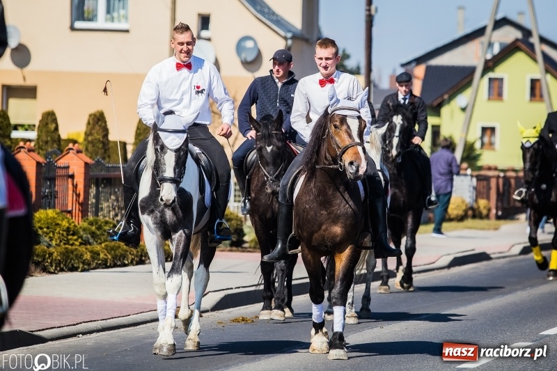Zdjęcie w galerii na portalu naszraciborz.pl: Wyścigi konne na finał procesji w Sudole wiadomości z regionu