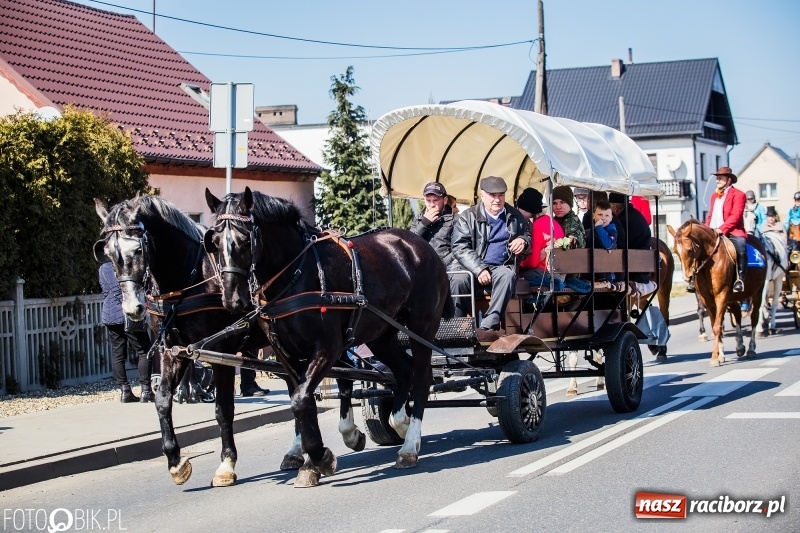 Zdjęcie w galerii na portalu naszraciborz.pl: Wyścigi konne na finał procesji w Sudole wiadomości z regionu