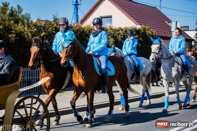 Zdjęcie w galerii na portalu naszraciborz.pl: Wyścigi konne na finał procesji w Sudole wiadomości z regionu