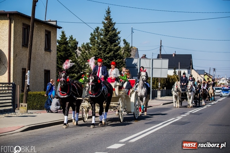 Zdjęcie w galerii na portalu naszraciborz.pl: Wyścigi konne na finał procesji w Sudole wiadomości z regionu