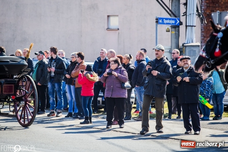 Zdjęcie w galerii na portalu naszraciborz.pl: Wyścigi konne na finał procesji w Sudole wiadomości z regionu