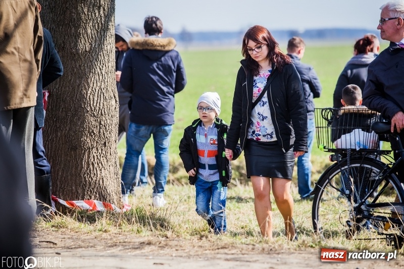 Zdjęcie w galerii na portalu naszraciborz.pl: Wyścigi konne na finał procesji w Sudole wiadomości z regionu