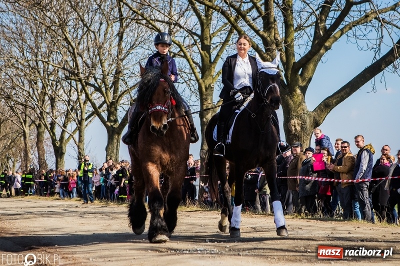 Zdjęcie w galerii na portalu naszraciborz.pl: Wyścigi konne na finał procesji w Sudole wiadomości z regionu