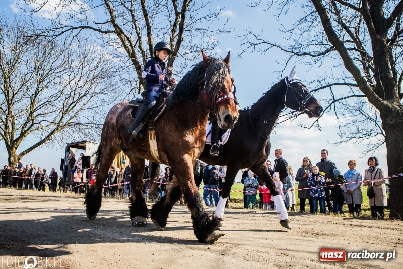 Zdjęcie w galerii na portalu naszraciborz.pl: Wyścigi konne na finał procesji w Sudole wiadomości z regionu