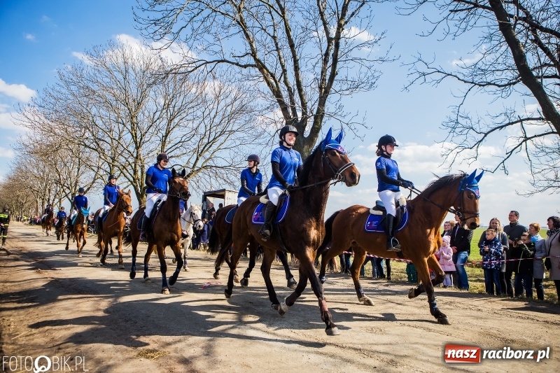 Zdjęcie w galerii na portalu naszraciborz.pl: Wyścigi konne na finał procesji w Sudole wiadomości z regionu