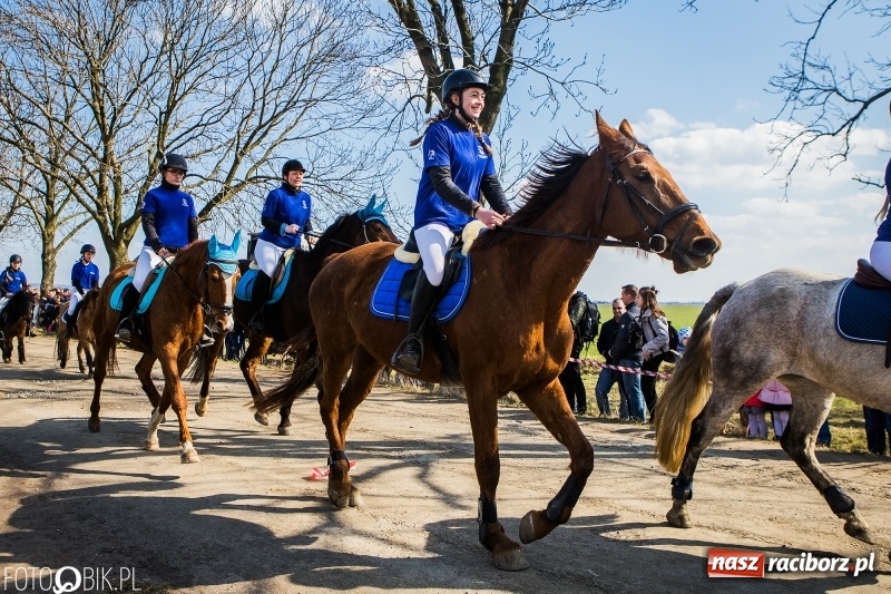 Zdjęcie w galerii na portalu naszraciborz.pl: Wyścigi konne na finał procesji w Sudole wiadomości z regionu