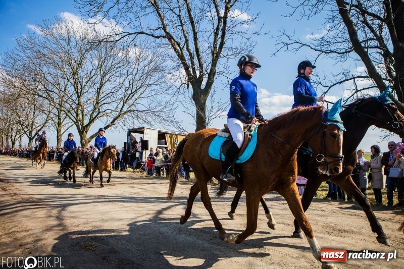 Zdjęcie w galerii na portalu naszraciborz.pl: Wyścigi konne na finał procesji w Sudole wiadomości z regionu