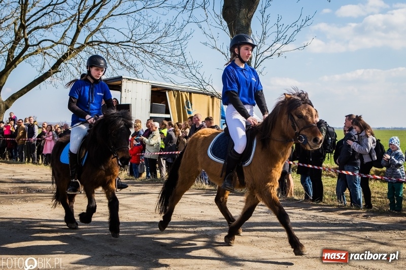 Zdjęcie w galerii na portalu naszraciborz.pl: Wyścigi konne na finał procesji w Sudole wiadomości z regionu