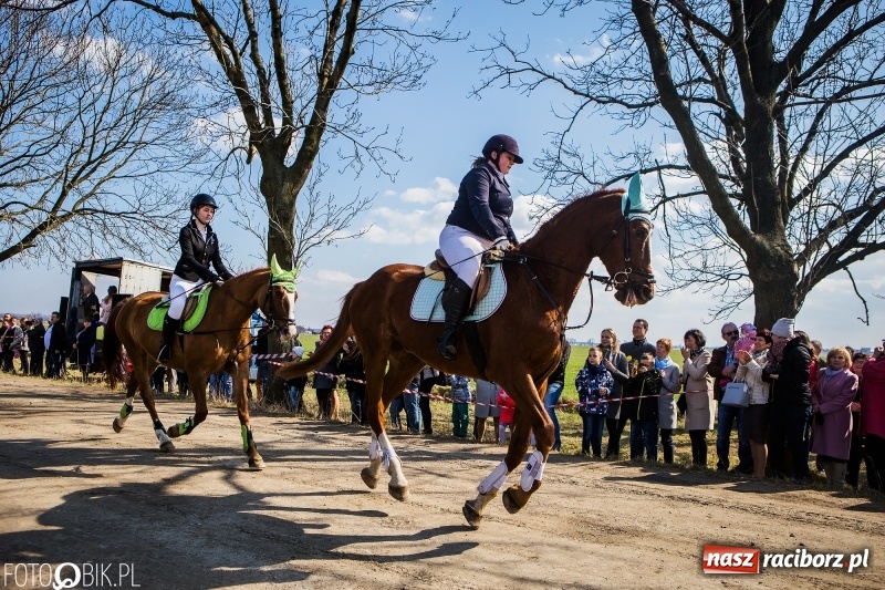 Zdjęcie w galerii na portalu naszraciborz.pl: Wyścigi konne na finał procesji w Sudole wiadomości z regionu