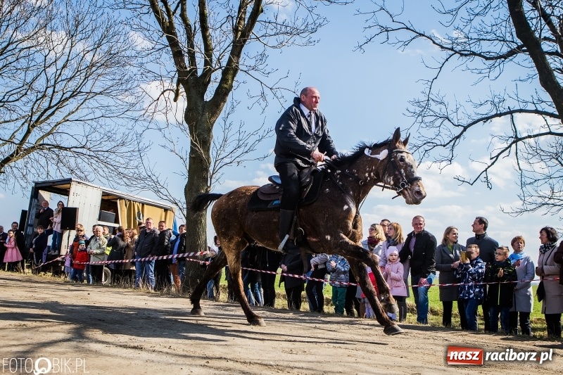Zdjęcie w galerii na portalu naszraciborz.pl: Wyścigi konne na finał procesji w Sudole wiadomości z regionu
