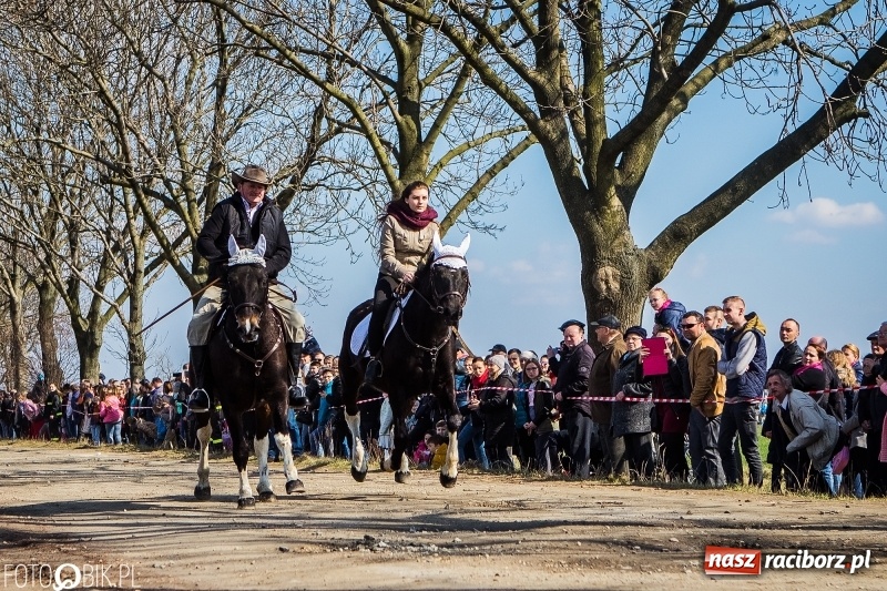 Zdjęcie w galerii na portalu naszraciborz.pl: Wyścigi konne na finał procesji w Sudole wiadomości z regionu