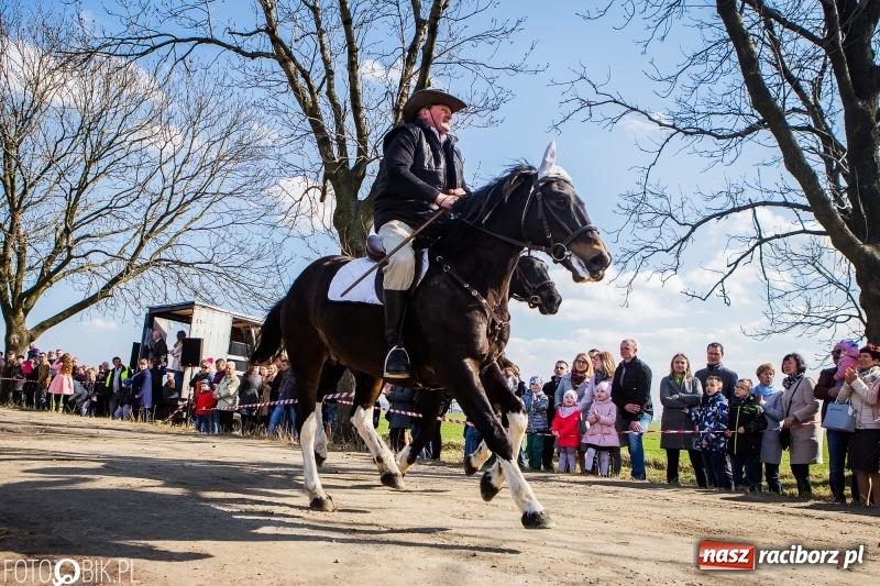 Zdjęcie w galerii na portalu naszraciborz.pl: Wyścigi konne na finał procesji w Sudole wiadomości z regionu