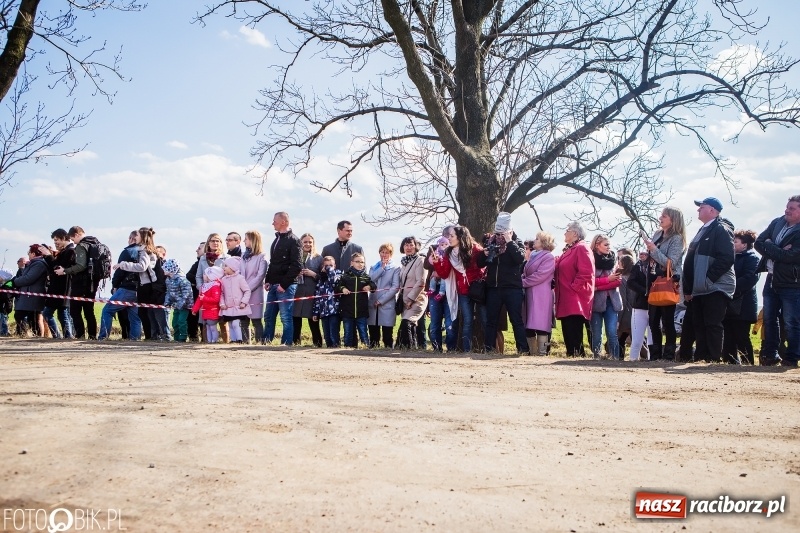 Zdjęcie w galerii na portalu naszraciborz.pl: Wyścigi konne na finał procesji w Sudole wiadomości z regionu