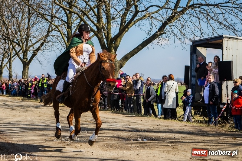 Zdjęcie w galerii na portalu naszraciborz.pl: Wyścigi konne na finał procesji w Sudole wiadomości z regionu
