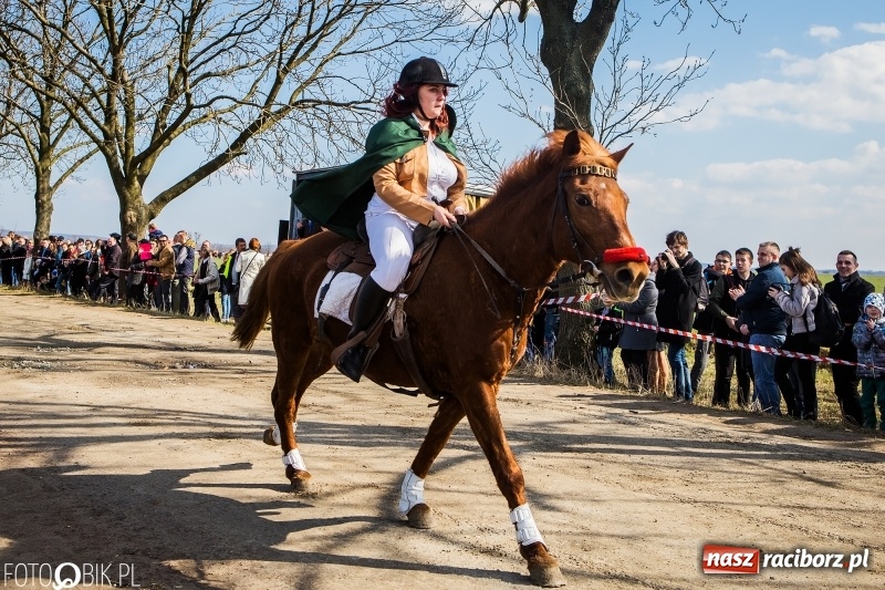 Zdjęcie w galerii na portalu naszraciborz.pl: Wyścigi konne na finał procesji w Sudole wiadomości z regionu