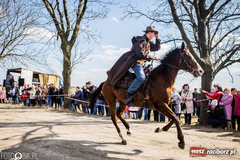 Zdjęcie w galerii na portalu naszraciborz.pl: Wyścigi konne na finał procesji w Sudole wiadomości z regionu