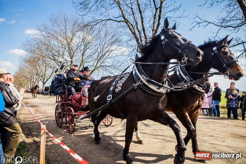 Zdjęcie w galerii na portalu naszraciborz.pl: Wyścigi konne na finał procesji w Sudole wiadomości z regionu