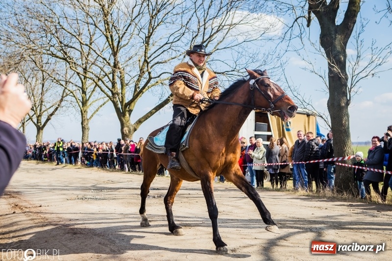 Zdjęcie w galerii na portalu naszraciborz.pl: Wyścigi konne na finał procesji w Sudole wiadomości z regionu