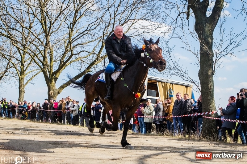 Zdjęcie w galerii na portalu naszraciborz.pl: Wyścigi konne na finał procesji w Sudole wiadomości z regionu