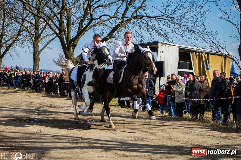 Zdjęcie w galerii na portalu naszraciborz.pl: Wyścigi konne na finał procesji w Sudole wiadomości z regionu