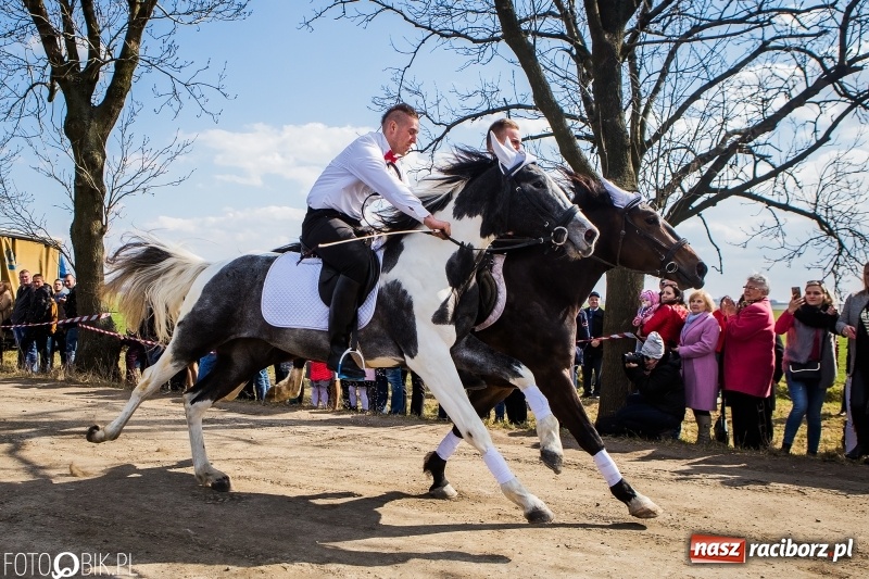 Zdjęcie w galerii na portalu naszraciborz.pl: Wyścigi konne na finał procesji w Sudole wiadomości z regionu