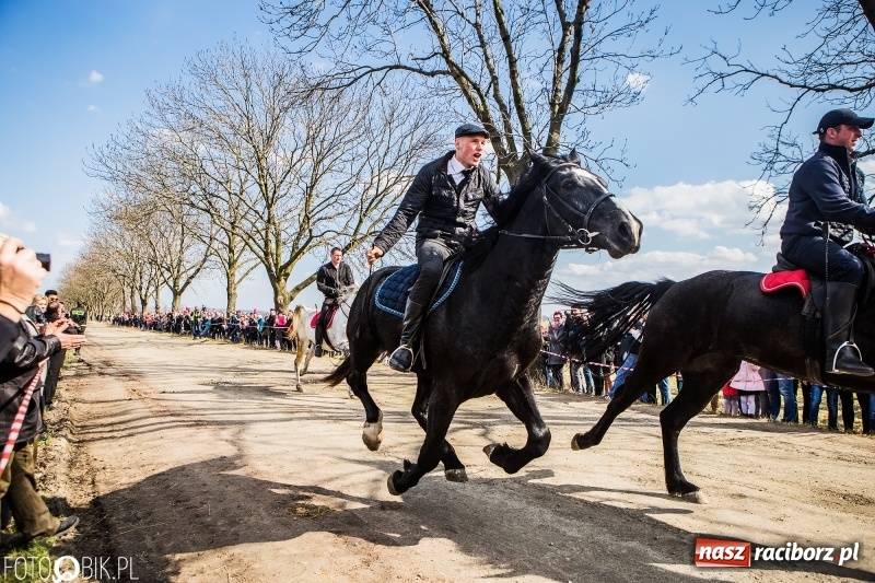 Zdjęcie w galerii na portalu naszraciborz.pl: Wyścigi konne na finał procesji w Sudole wiadomości z regionu