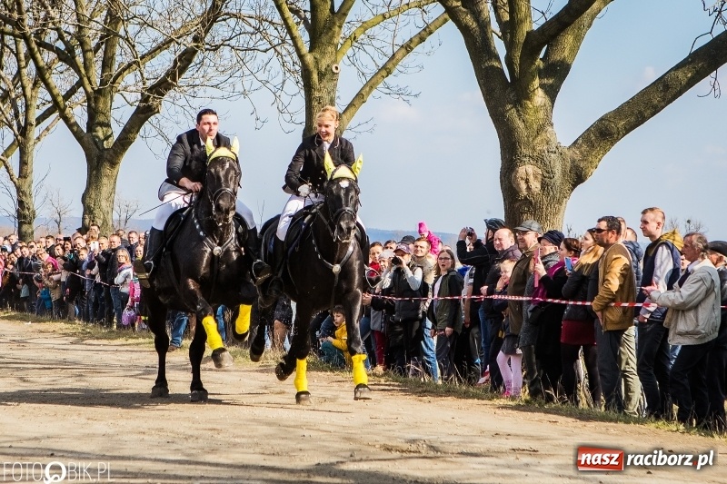 Zdjęcie w galerii na portalu naszraciborz.pl: Wyścigi konne na finał procesji w Sudole wiadomości z regionu