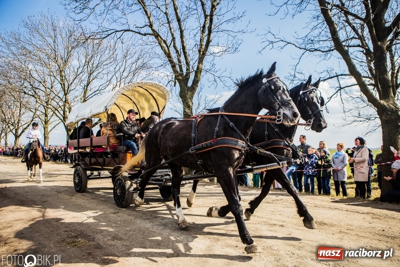 Zdjęcie w galerii na portalu naszraciborz.pl: Wyścigi konne na finał procesji w Sudole wiadomości z regionu