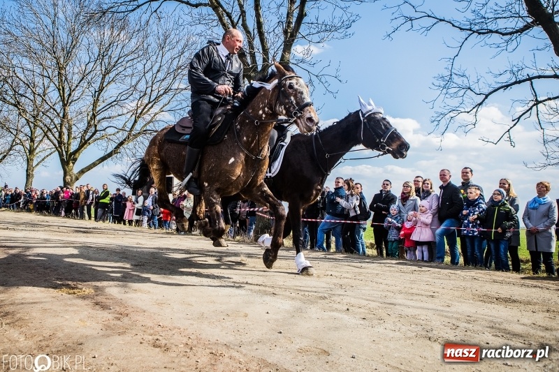 Zdjęcie w galerii na portalu naszraciborz.pl: Wyścigi konne na finał procesji w Sudole wiadomości z regionu