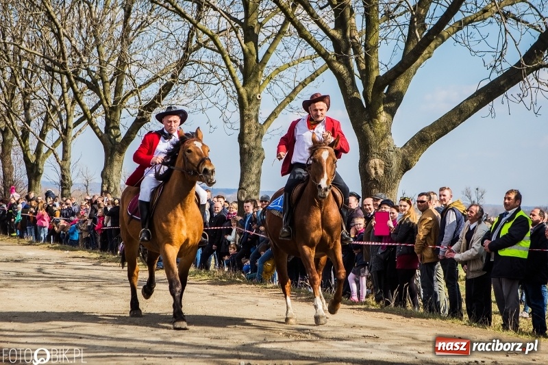 Zdjęcie w galerii na portalu naszraciborz.pl: Wyścigi konne na finał procesji w Sudole wiadomości z regionu