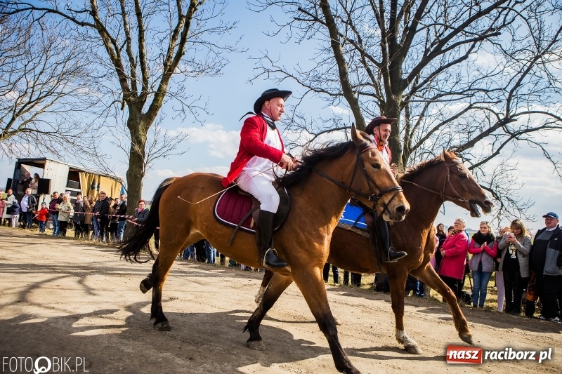 Zdjęcie w galerii na portalu naszraciborz.pl: Wyścigi konne na finał procesji w Sudole wiadomości z regionu