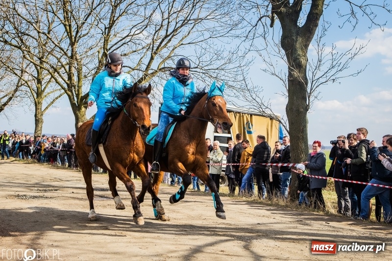 Zdjęcie w galerii na portalu naszraciborz.pl: Wyścigi konne na finał procesji w Sudole wiadomości z regionu