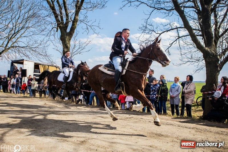 Zdjęcie w galerii na portalu naszraciborz.pl: Wyścigi konne na finał procesji w Sudole wiadomości z regionu