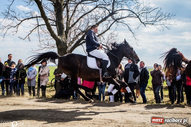 Zdjęcie w galerii na portalu naszraciborz.pl: Wyścigi konne na finał procesji w Sudole wiadomości z regionu