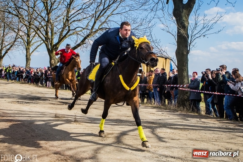 Zdjęcie w galerii na portalu naszraciborz.pl: Wyścigi konne na finał procesji w Sudole wiadomości z regionu