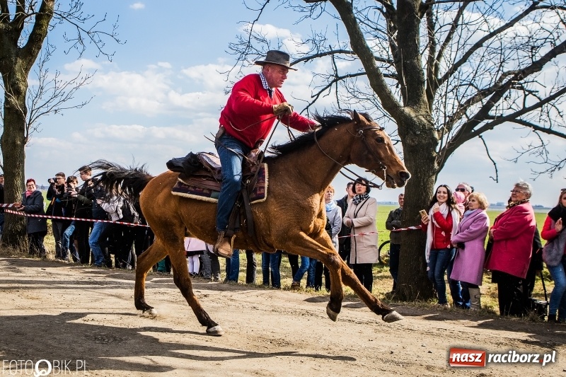 Zdjęcie w galerii na portalu naszraciborz.pl: Wyścigi konne na finał procesji w Sudole wiadomości z regionu