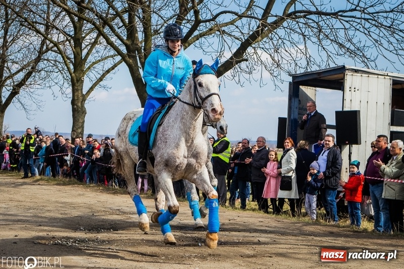 Zdjęcie w galerii na portalu naszraciborz.pl: Wyścigi konne na finał procesji w Sudole wiadomości z regionu
