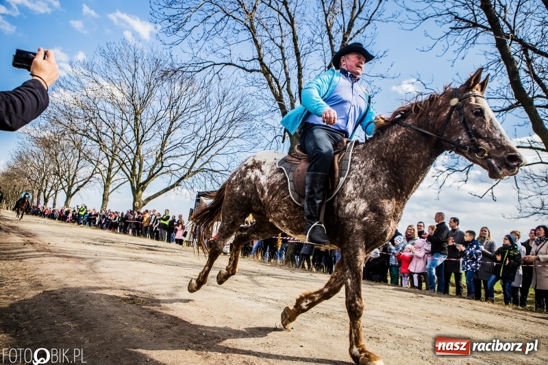 Zdjęcie w galerii na portalu naszraciborz.pl: Wyścigi konne na finał procesji w Sudole wiadomości z regionu
