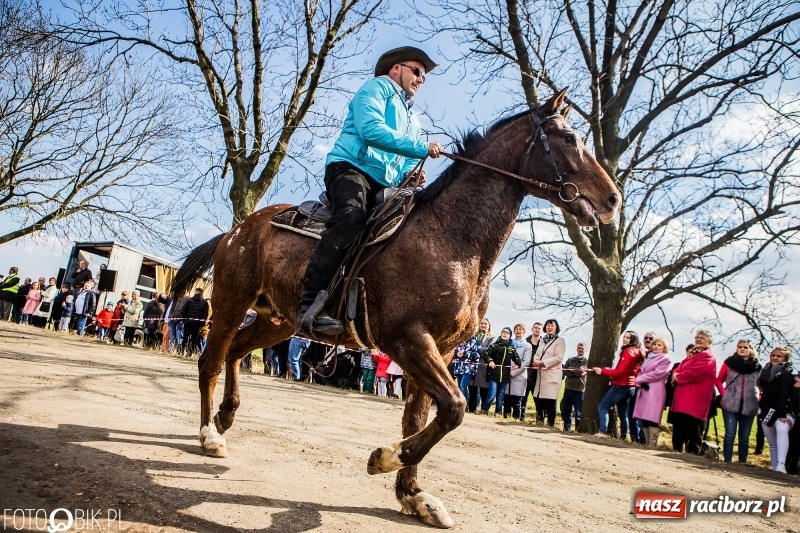 Zdjęcie w galerii na portalu naszraciborz.pl: Wyścigi konne na finał procesji w Sudole wiadomości z regionu