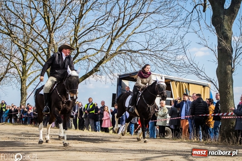 Zdjęcie w galerii na portalu naszraciborz.pl: Wyścigi konne na finał procesji w Sudole wiadomości z regionu