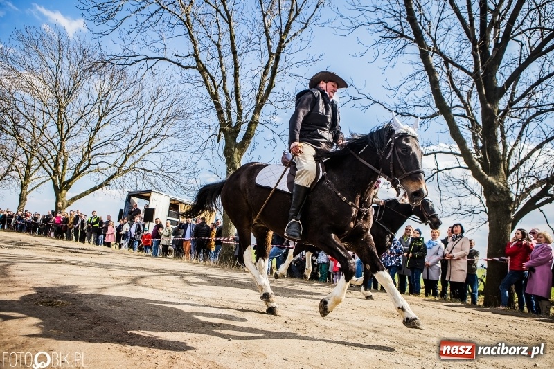 Zdjęcie w galerii na portalu naszraciborz.pl: Wyścigi konne na finał procesji w Sudole wiadomości z regionu