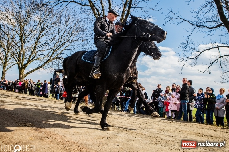 Zdjęcie w galerii na portalu naszraciborz.pl: Wyścigi konne na finał procesji w Sudole wiadomości z regionu